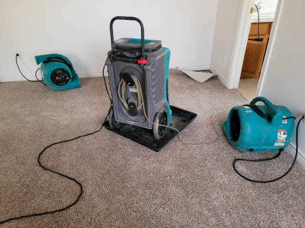 Best Water damage cleanup near me  in Hillsboro, OH