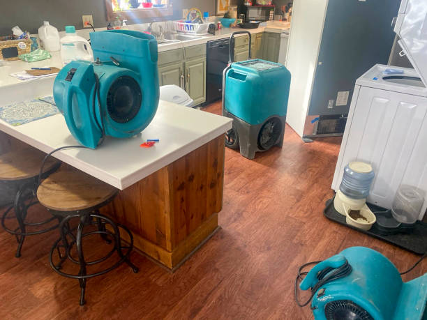 Best Water damage mitigation services  in Hillsboro, OH