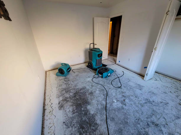 Best Professional water damage repair  in Hillsboro, OH