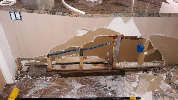 Best Flood damage cleanup  in Hillsboro, OH