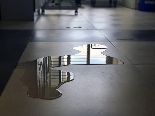 Best Water damage restoration near me  in Hillsboro, OH