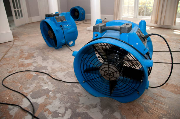 Best Ceiling water damage repair  in Hillsboro, OH
