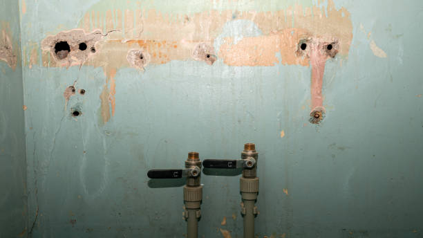 Best Flooded house restoration  in Hillsboro, OH