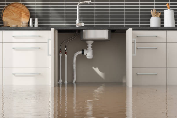 Best Water damage restoration near me  in Hillsboro, OH