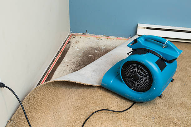 Best Carpet water damage restoration  in Hillsboro, OH